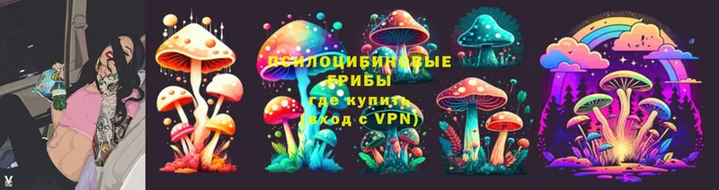 кракен ТОР  цена   Вязники  дарк нет клад  Псилоцибиновые грибы Psilocybine cubensis 